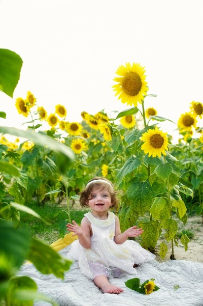 Childrens Portrait in Sunflowers